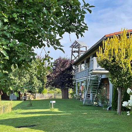 Pension Mochow Schwielochsee Exterior foto